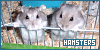 Hamsters Fan
